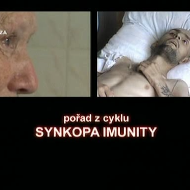 Synkopa imunity  (2005)